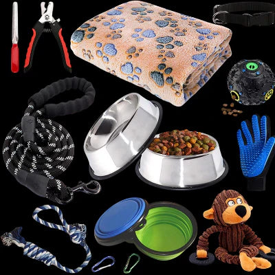 Pets Accessories