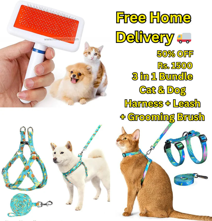 3 in 1 Cat & Dog Bundle 🐾 Harness + Leash + Grooming Brush